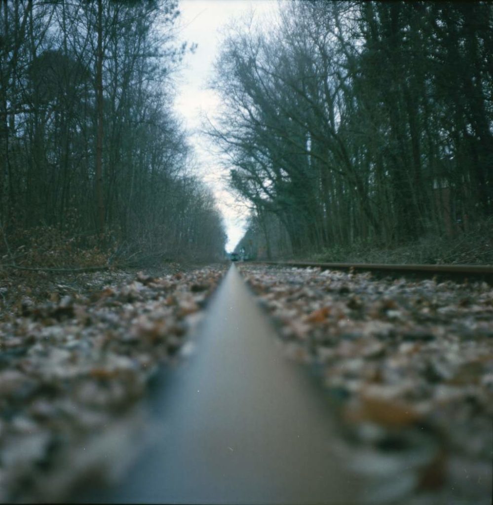 Gleise im Wald auf Kodak Portra 400