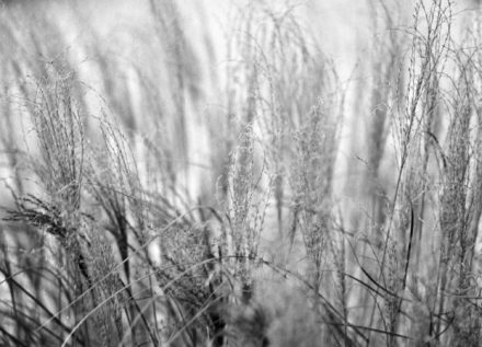 Winterbilder mit der Mamiya M645